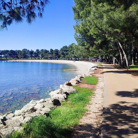 Apartments Novigrad Novigrad Istria Dış mekan fotoğraf