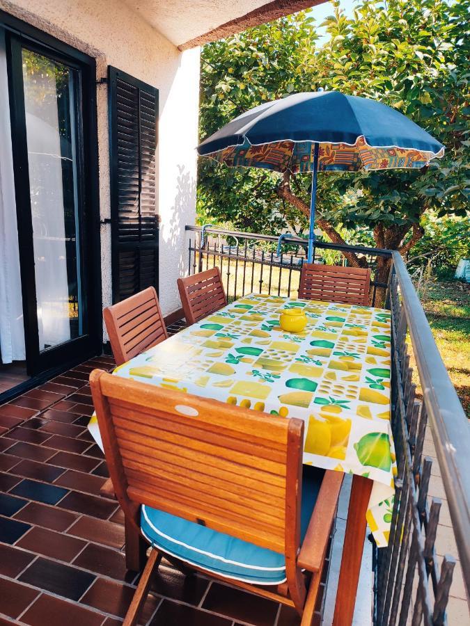 Apartments Novigrad Novigrad Istria Dış mekan fotoğraf