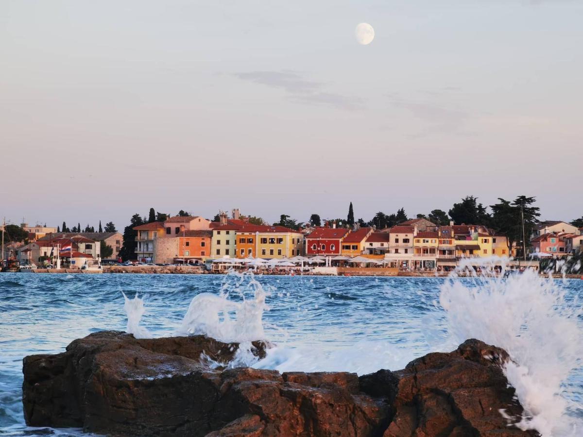 Apartments Novigrad Novigrad Istria Dış mekan fotoğraf