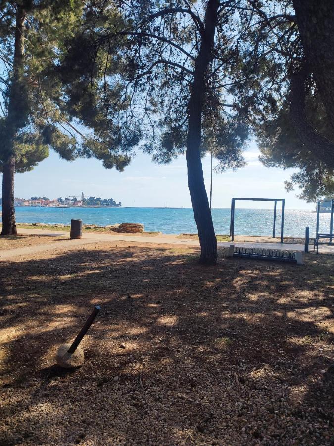 Apartments Novigrad Novigrad Istria Dış mekan fotoğraf