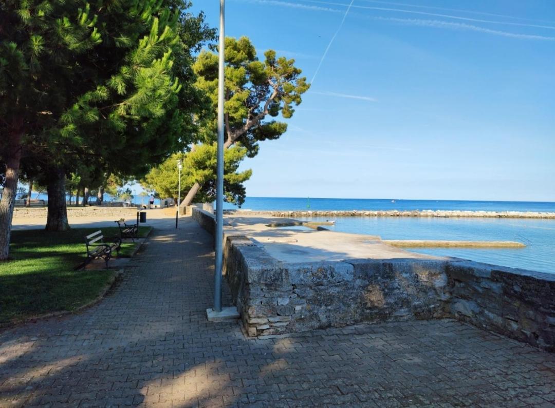 Apartments Novigrad Novigrad Istria Dış mekan fotoğraf