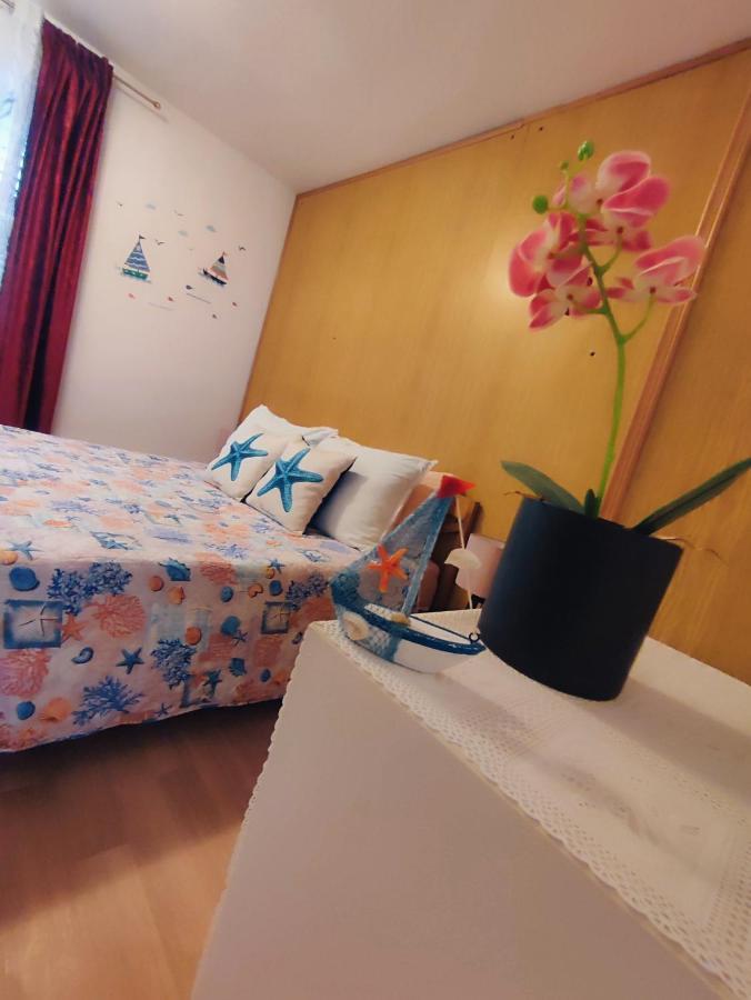 Apartments Novigrad Novigrad Istria Dış mekan fotoğraf